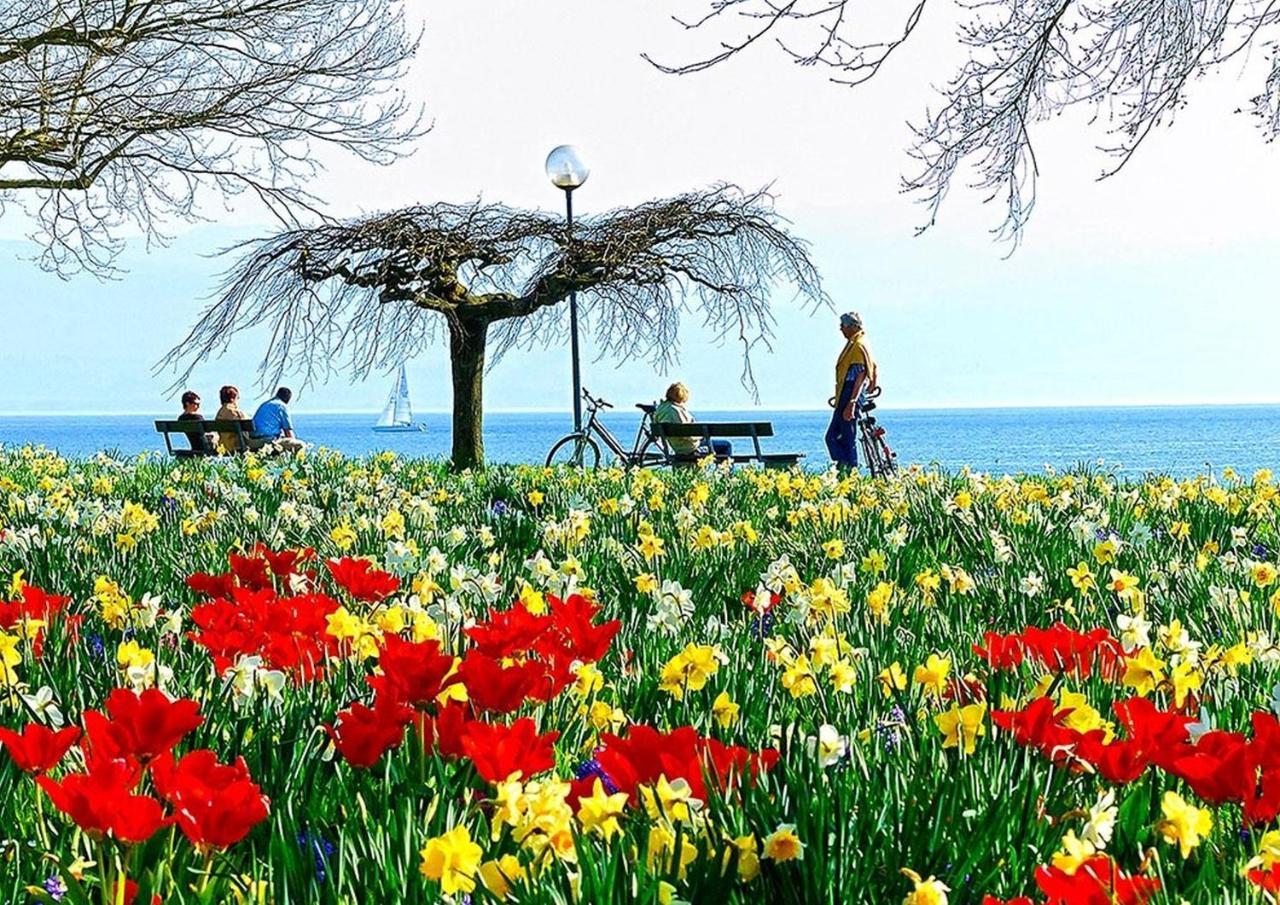 Hotel Am Rehberg Garni Lindau  Luaran gambar